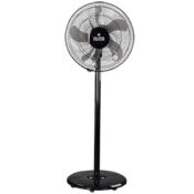 Polycab Fan Elanza MINI