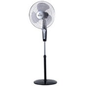 Polycab Fan Eliana