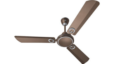 Polycab Fan Brio 1200MM