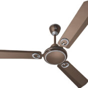 Polycab Fan Brio 900MM