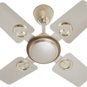Polycab Fan Brio Duo 600MM
