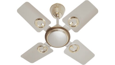 Polycab Fan Brio Duo 600MM