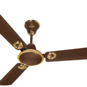 Polycab Fan Elanza Plus