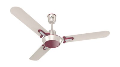 Polycab Fan Regalia 1200MM