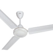 Polycab Fan Synergy Neo 50